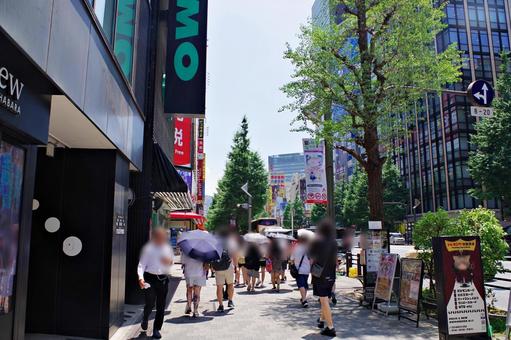 秋葉原2025夏 中央通り歩道にて 秋葉原2025夏 中央通り歩道にて 秋葉原,中央通り,歩道の写真素材