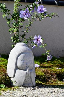 金沢・香林寺の白い彼岸花 金沢・香林寺の白い彼岸花 日本,石像,観光地の写真素材