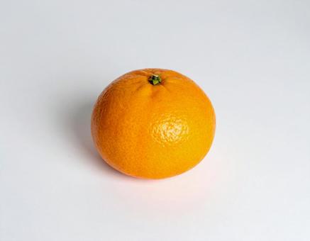 みかん 1の写真