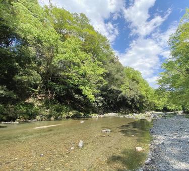 飯能河原 飯能河原 緑,川,山の写真素材