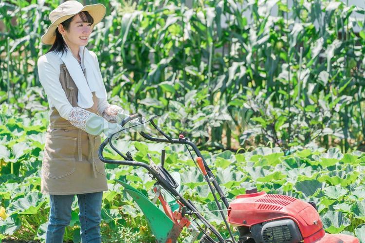 畑を小型トラクターで耕す農家の女性 農業,野菜,農家の写真素材