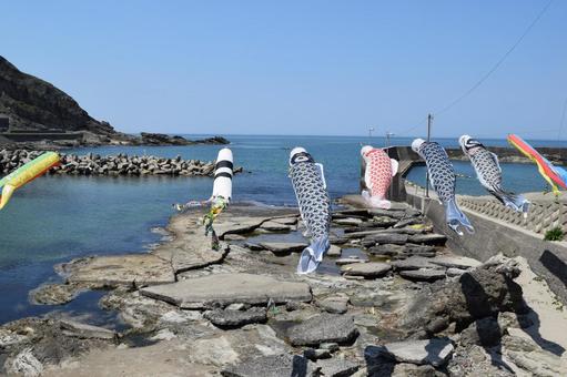 海岸で泳ぐ鯉のぼり 海岸で泳ぐ鯉のぼり 鯉のぼり,こいのぼり,鯉幟の写真素材