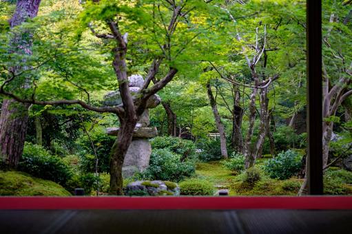 日本庭園 圓光寺,寺,庭園の写真素材