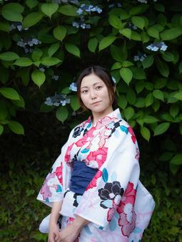 32: Hydrangea and a woman in a yukata, JPG 32: Hydrangea and a woman in a yukata, JPG