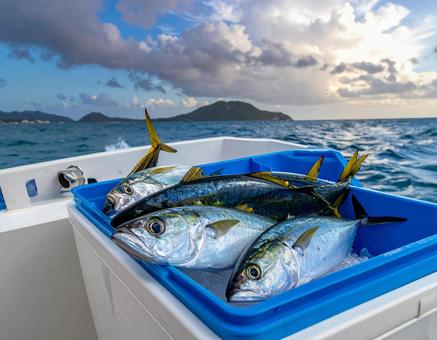 釣りのクーラーボックス 釣りのクーラーボックスの写真