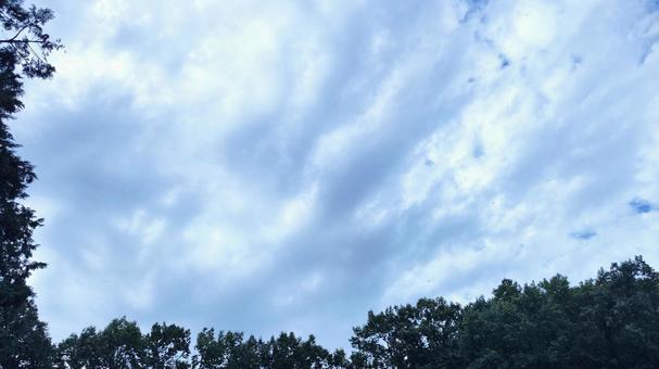 空 空の写真