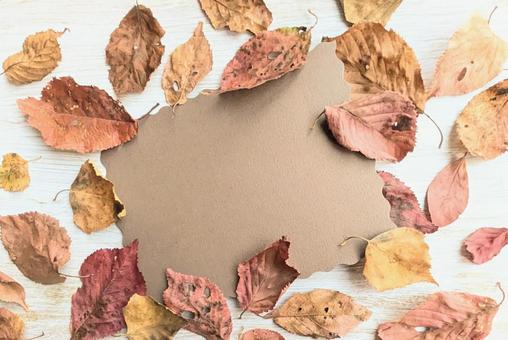 落ち葉のフレーム 落ち葉のフレーム 落ち葉,秋,フレームの写真素材