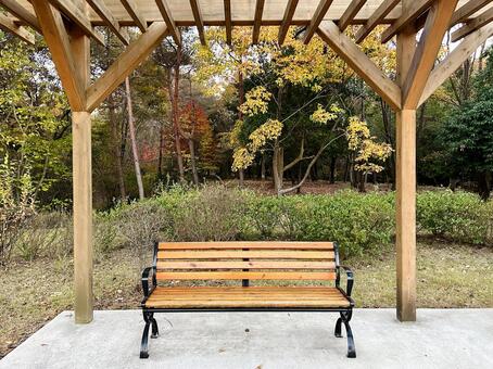 公園のベンチ ベンチ,椅子,自然の写真素材