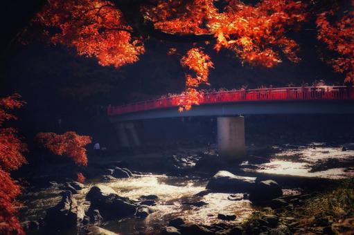紅葉風景 紅葉風景 香嵐渓,香嵐渓紅葉,愛知県の写真素材