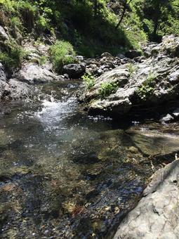 夏の涼しげな小川 夏の涼しげな小川 川,マイナスイオン,自然の写真素材