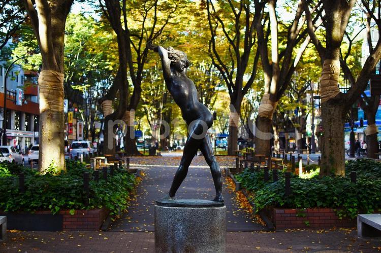 木漏れ日がさす秋の定禅寺通り　2 定禅寺通り,秋,紅葉の写真素材