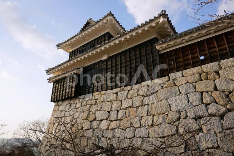 松山城　石垣と太鼓櫓 松山城,史跡,太鼓櫓の写真素材
