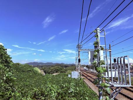 線路と緑 線路と緑 鉄道,線路,風景の写真素材