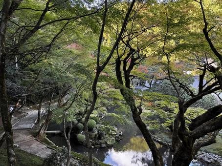 庭園 庭園,自然,ナチュラルの写真素材