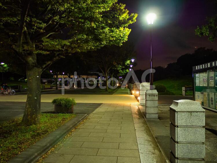 葛西臨海公園　夜景 葛西臨海公園,葛西,江戸川区の写真素材