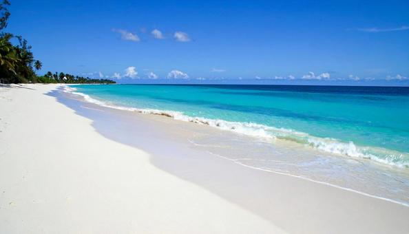 白い砂浜の写真