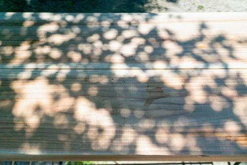 Photo, sunbeams leaves, shadow, leaf, 