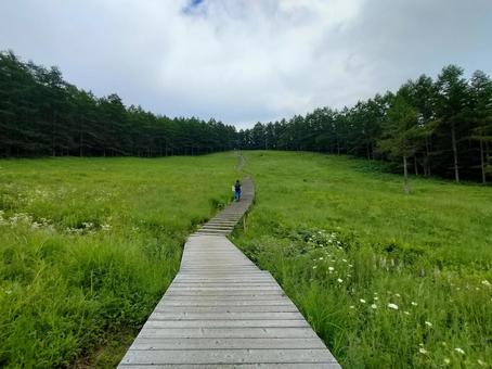 草原と遊歩道 草原と遊歩道の写真
