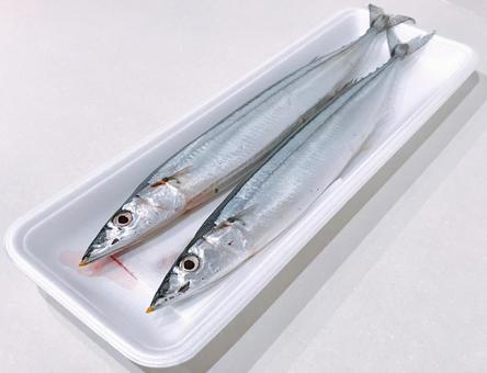 秋刀魚 秋刀魚の写真