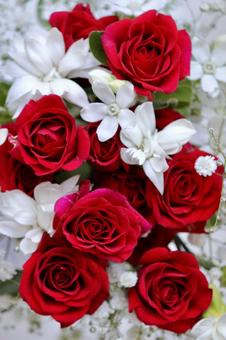 華やかな赤いバラのブーケ　縦構図 バラ,赤,ブーケの写真素材