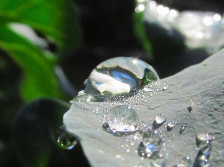 水滴と朝の光の風景 水滴と朝の光の風景 水滴,しずく,雨の写真素材