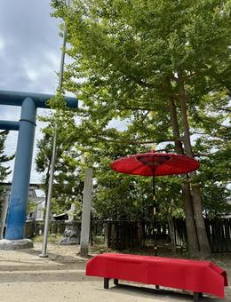 鳥居と野点 鳥居と野点 小名浜,諏訪神社,いわき市の写真素材