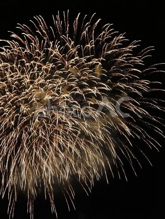 夜空に咲く光のしだれ柳 花火,しだれ柳,祭りの写真素材