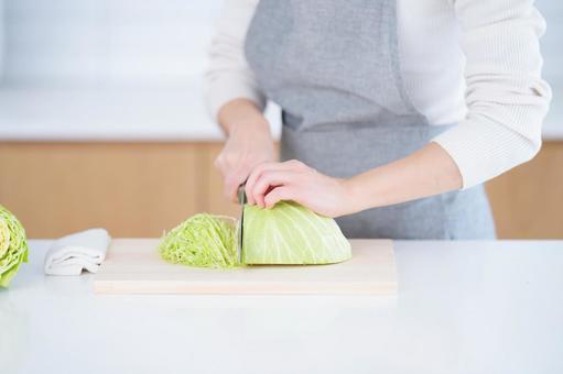 キャベツを切っている手 キャベツを切っている手 キャベツ,千切り,切るの写真素材