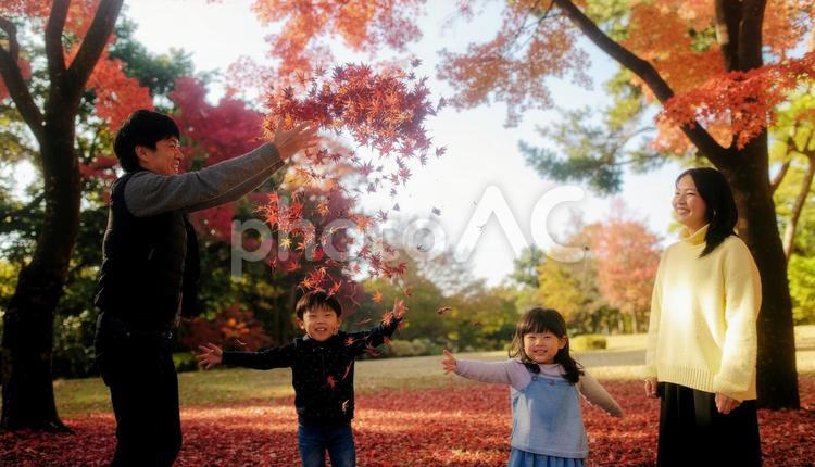 秋の紅葉狩りではしゃぐ子供たち 紅葉がり,紅葉,お父さんの写真素材