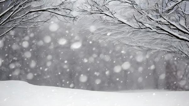 冬の背景 雪景色 風景 冬の背景 雪景色 風景 霧氷,雪原,氷点下の写真素材