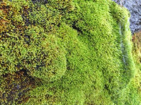 水場の風景_25 水場の風景_25の写真