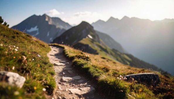 ハイキングコースの山道 ハイキングコースの山道の写真