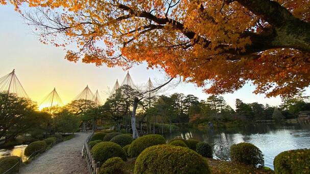 晩秋・早朝の兼六園 兼六園,金沢,石川の写真素材