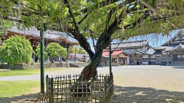坂東33観音 12番 慈恩寺 境内の風景 坂東33観音 12番 慈恩寺 境内の風景の写真