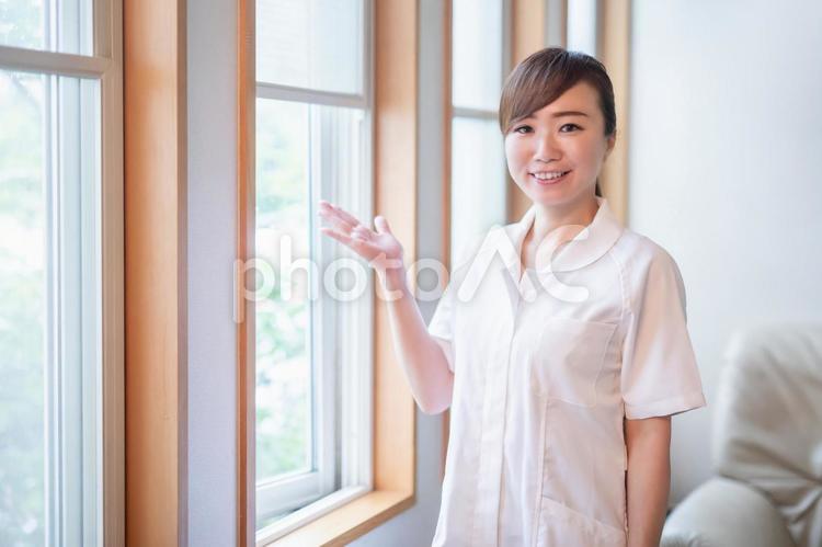 看護師／介護士／歯科衛生士 看護師,ナース,看護婦の写真素材