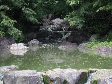 癒し 癒しの写真