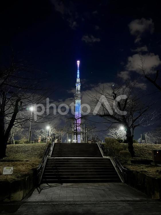 桜の季節の夜の隅田公園周辺 ネオン,ライト,夜空の写真素材