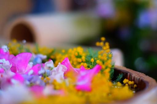 ロストフラワー ロストフラワーの写真