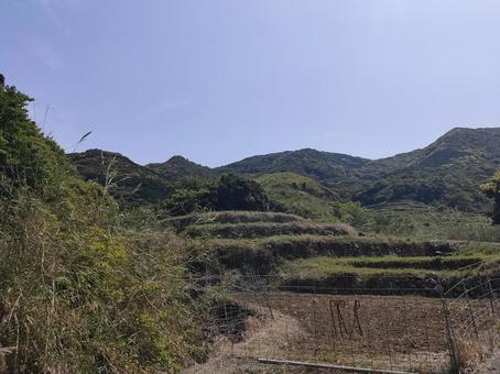 春日の棚田 春日の棚田 あぜ道,春日,棚田の写真素材