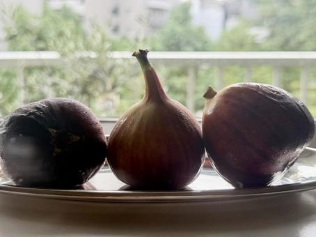 秋の果物part2 無花果 秋の果物part2 無花果 秋,秋の食べ物,フルーツの写真素材