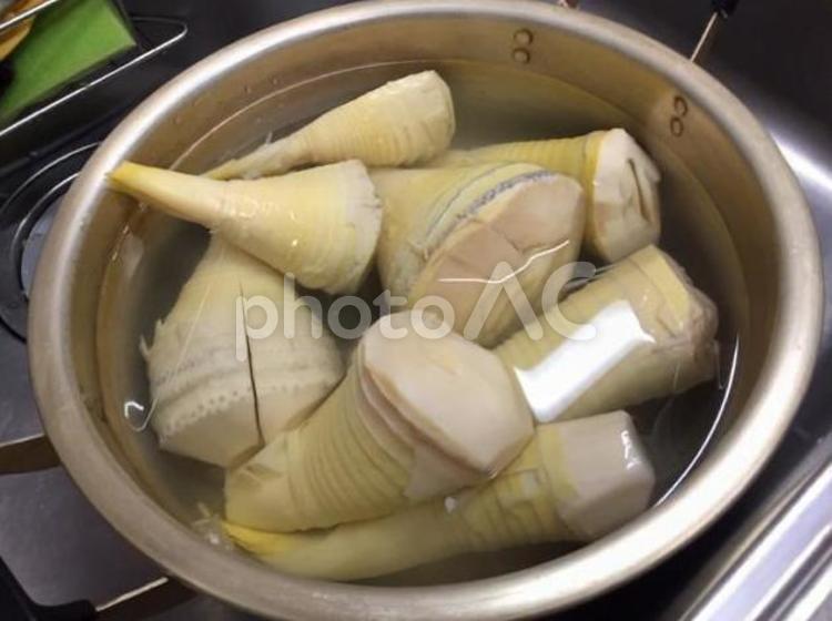 筍　孟宗竹 たけのこ,竹の子,竹の写真素材