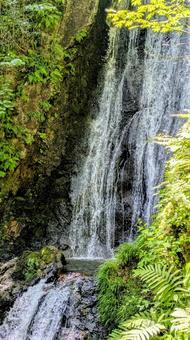 岩手県 不動の滝 岩手県 不動の滝の写真