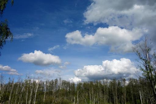 青い空と白い雲1 青い空と白い雲1 空,白い雲,青い空の写真素材