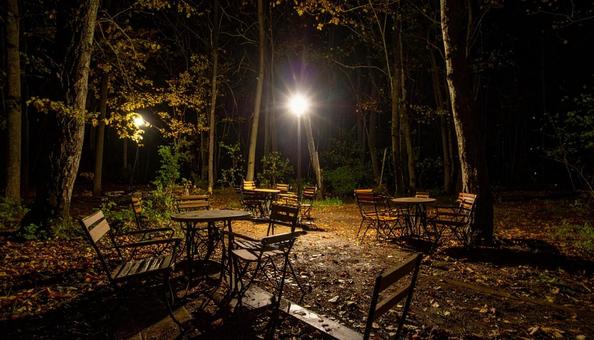 夜の森の中のテラス席 夜の森の中のテラス席の写真