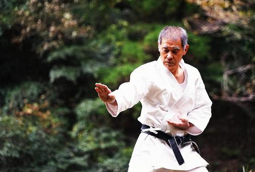 空手（構え④） 空手,形,人の写真素材