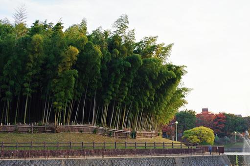 公園の夕景 夕景,たそがれ,夕空の写真素材