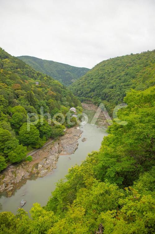 嵐山　保津峡 嵐山,保津峡,保津川の写真素材