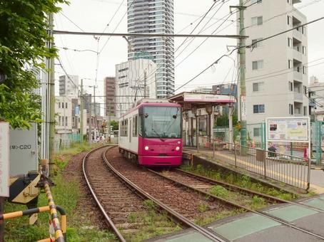 都電雑司ヶ谷停留場(東京さくらトラム) 都電雑司ヶ谷停留場(東京さくらトラム) 都電雑司ヶ谷電停,都電荒川線,東京都豊島区南池袋三丁目の写真素材