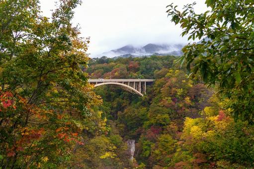 鳴子峡の紅葉 鳴子峡,紅葉,渓谷の写真素材