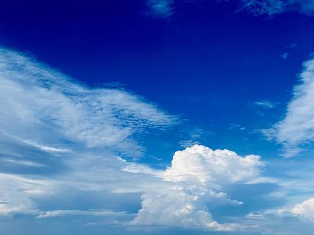 青空 青空の写真